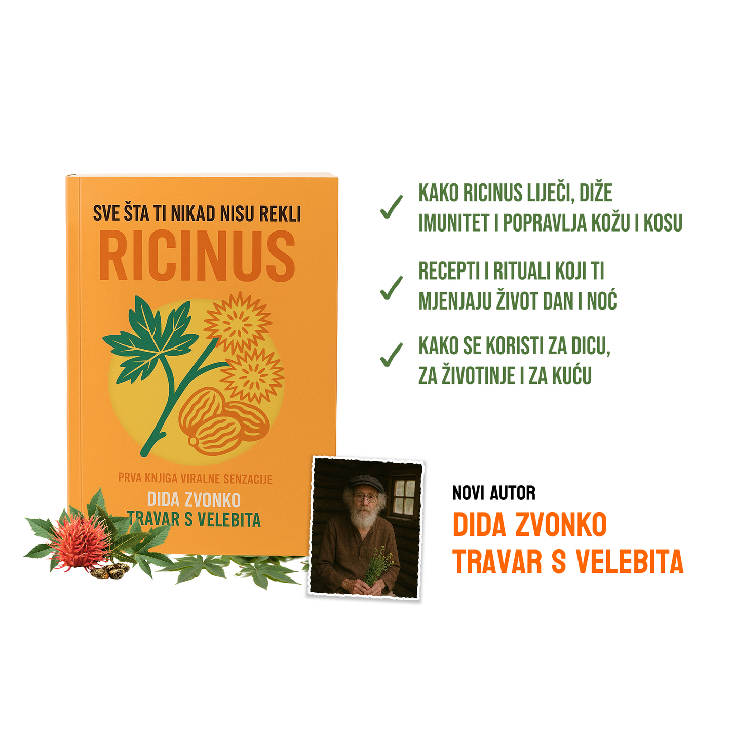 Dida Zvonko, SVE ŠTA TI NIKAD NISU REKLI: RICINUS