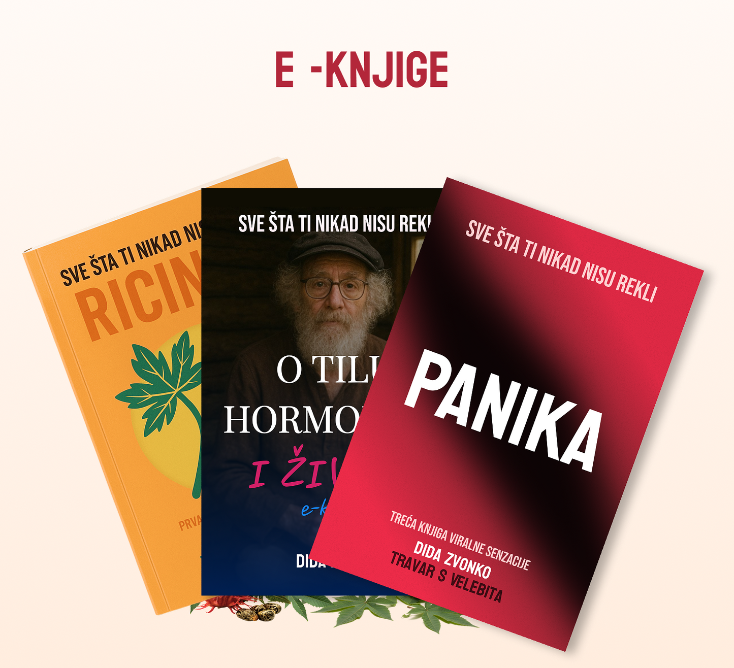 e knjiga paket.png