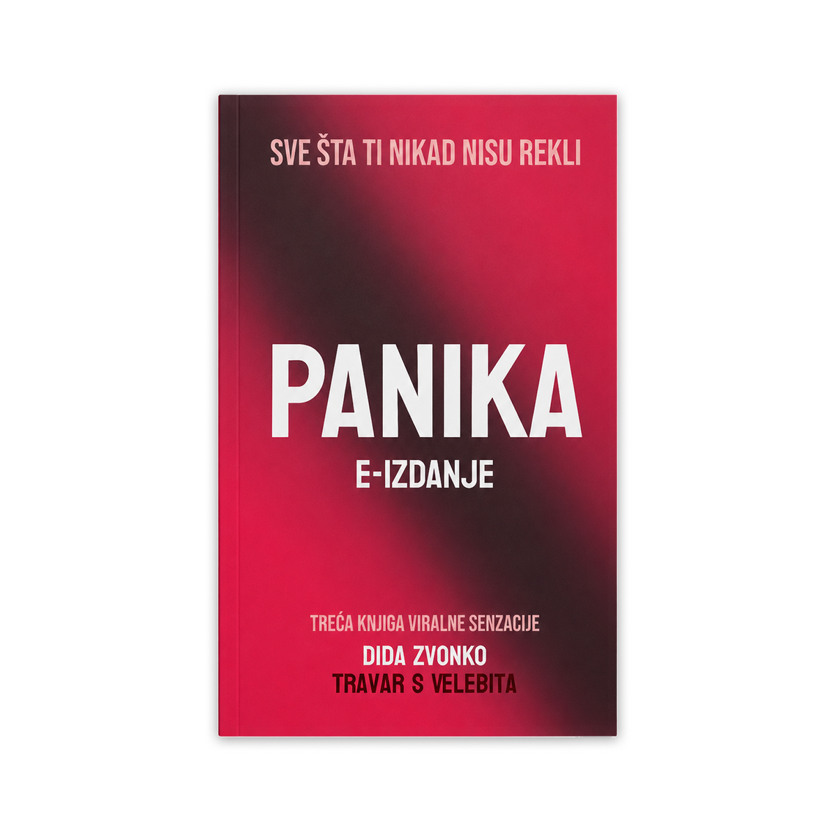 E-KNJIGA, Dida Zvonko: PANIKA