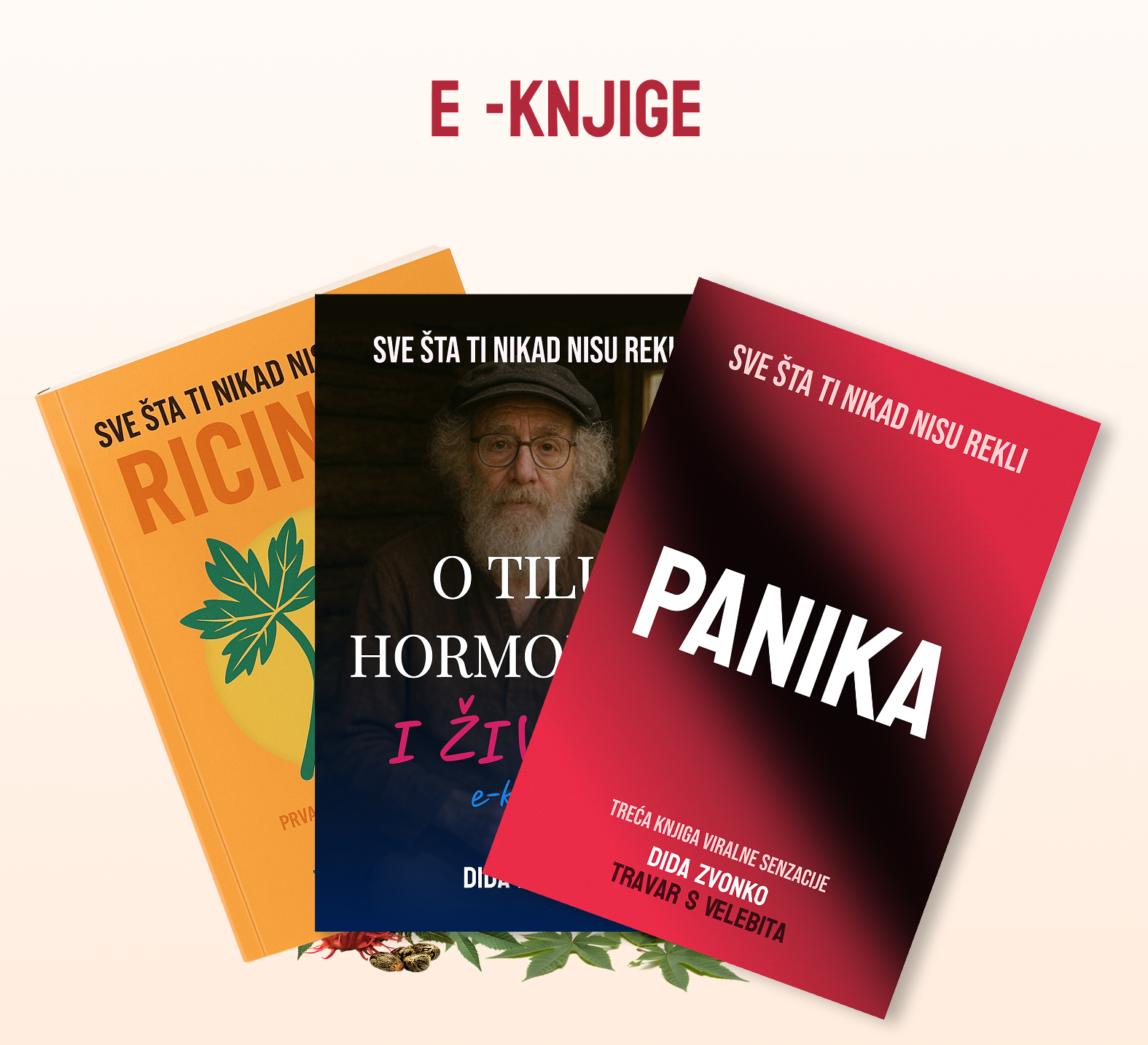 e knjiga paket.png